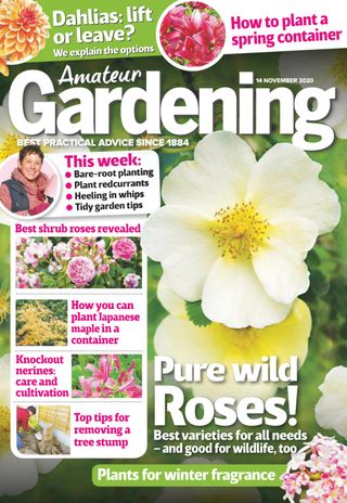 Amateur Gardening