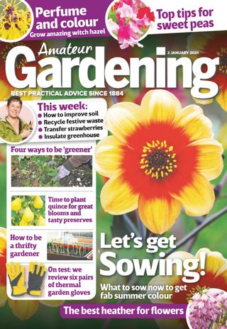 Amateur Gardening