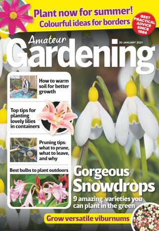Amateur Gardening