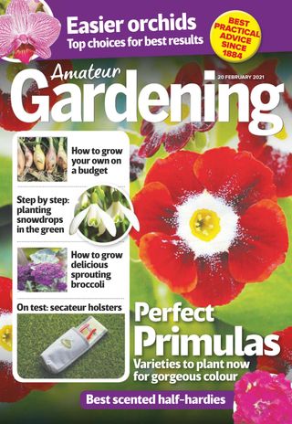 Amateur Gardening