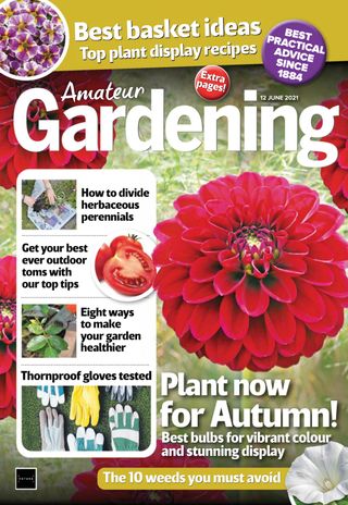 Amateur Gardening