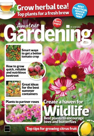 Amateur Gardening