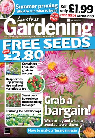Amateur Gardening