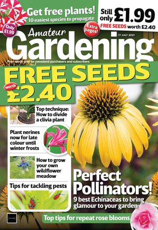 Amateur Gardening