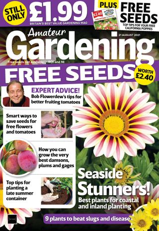 Amateur Gardening