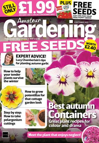 Amateur Gardening