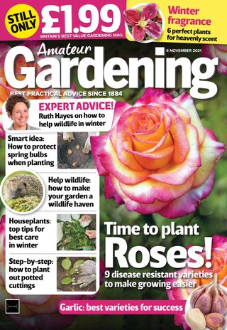 Amateur Gardening