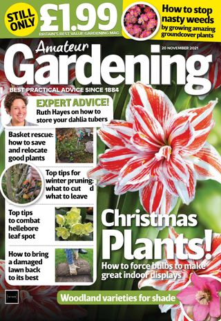Amateur Gardening