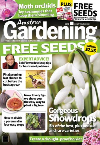 Amateur Gardening