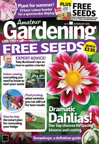 Amateur Gardening