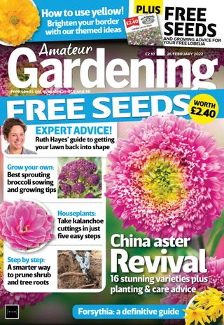 Amateur Gardening