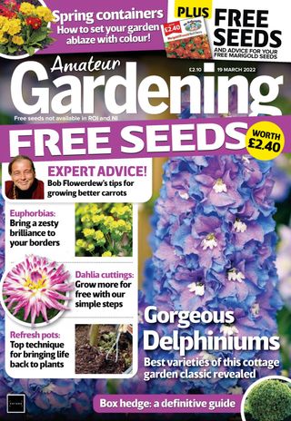Amateur Gardening