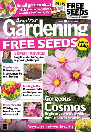 Amateur Gardening