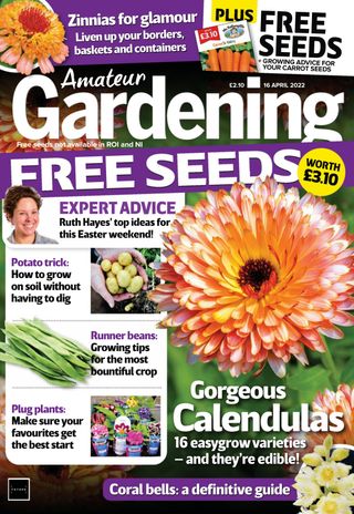 Amateur Gardening
