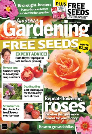 Amateur Gardening