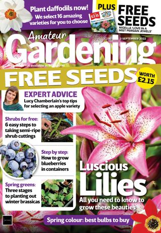 Amateur Gardening