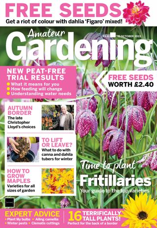 How to control acanthus How to control acanthus