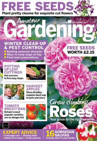 Amateur Gardening