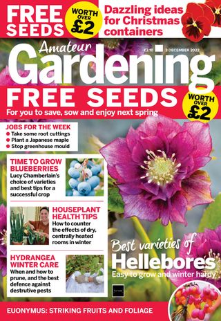 Amateur Gardening