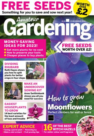 Amateur Gardening