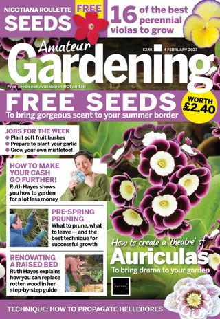 Amateur Gardening