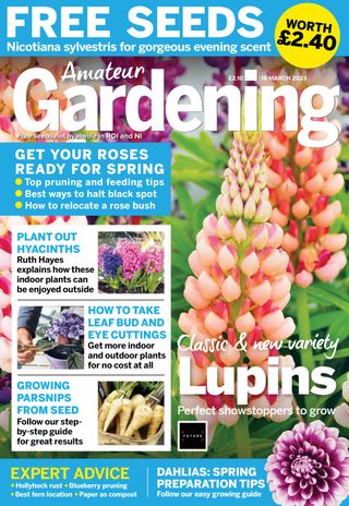 Amateur Gardening
