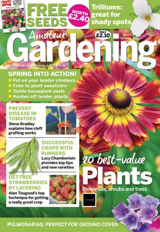 Amateur Gardening
