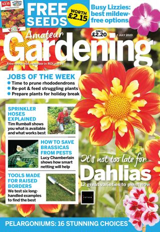 Amateur Gardening  Cover - October 14, 2023 Edition