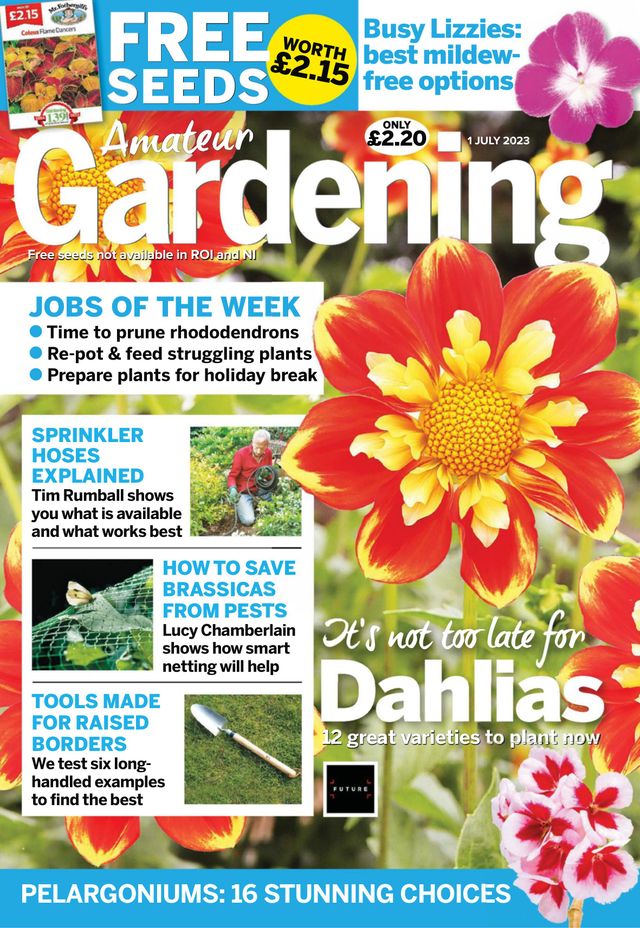 Amateur Gardening