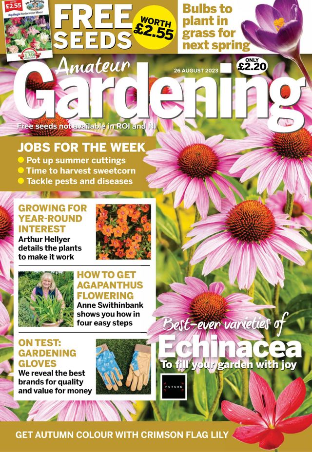 Amateur Gardening