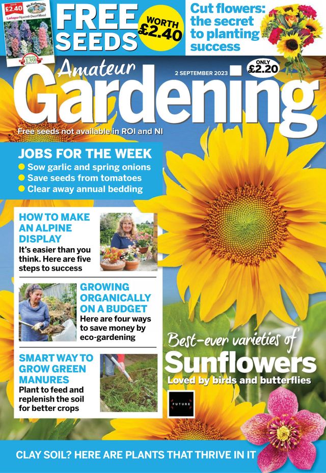 Amateur Gardening