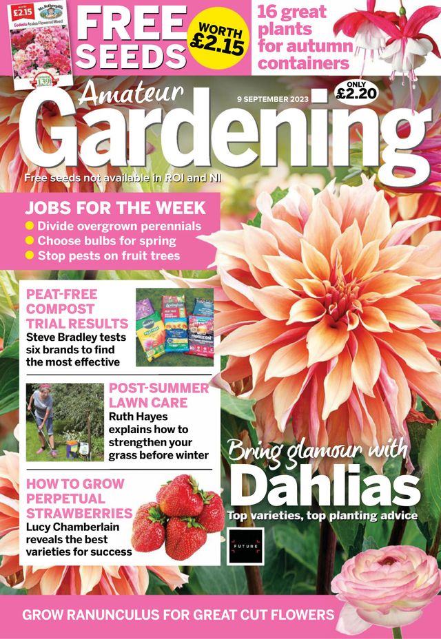 Amateur Gardening