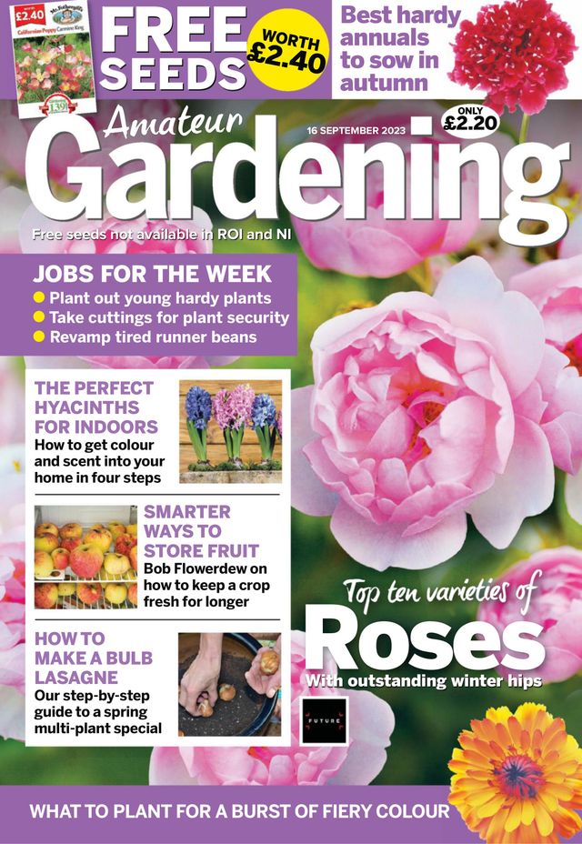 Amateur Gardening