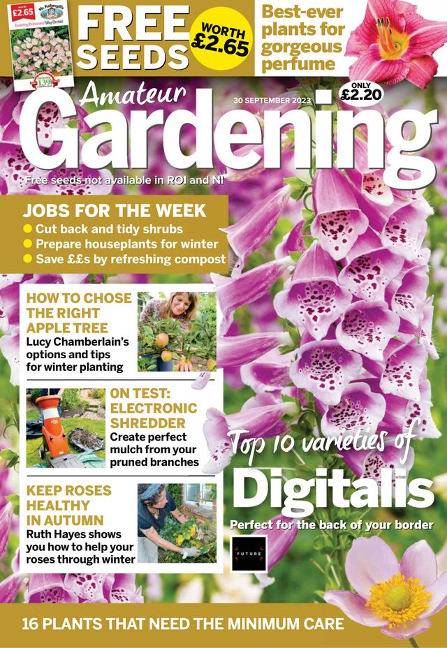 Amateur Gardening