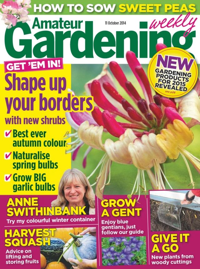 Amateur Gardening
