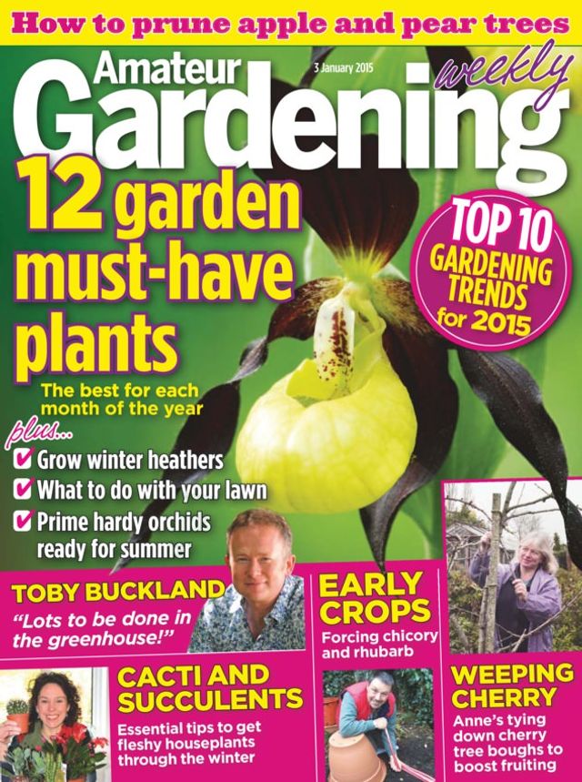 Amateur Gardening
