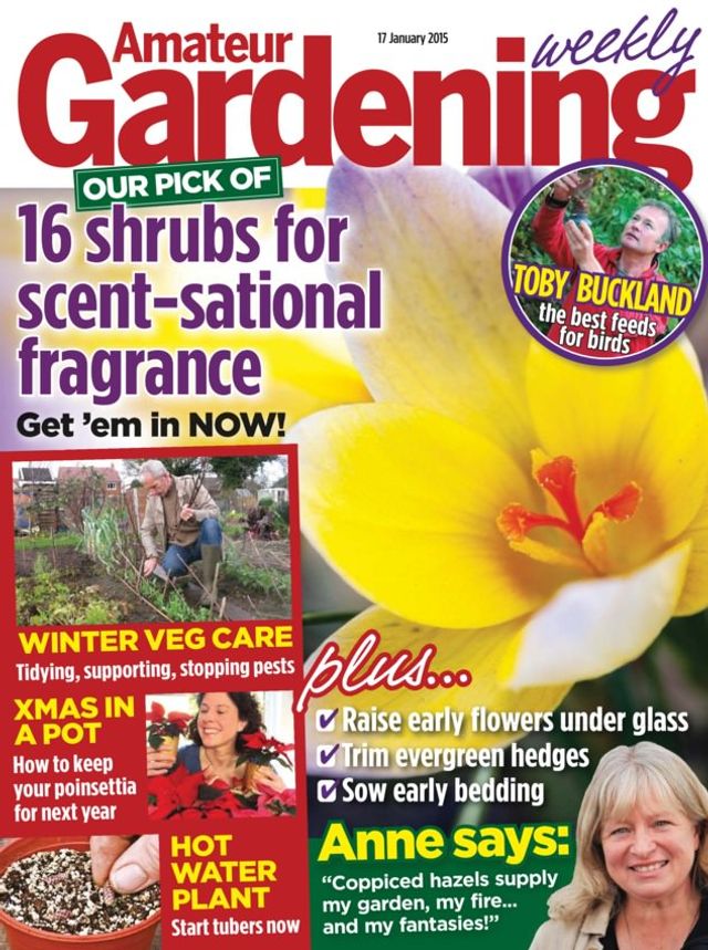 Amateur Gardening