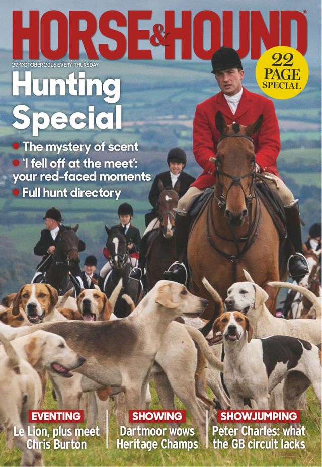Horse & Hound