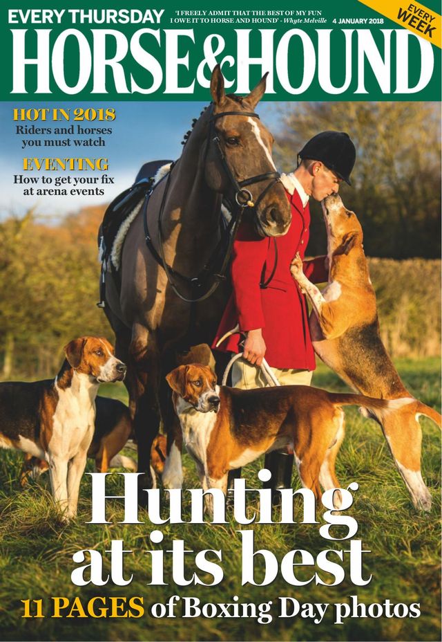 Horse & Hound