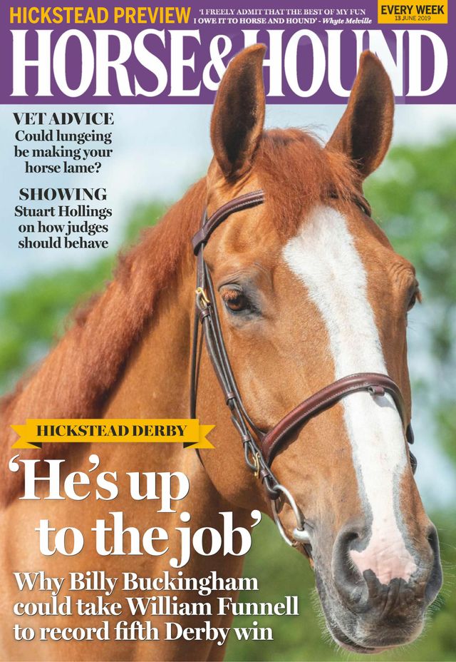 Horse & Hound