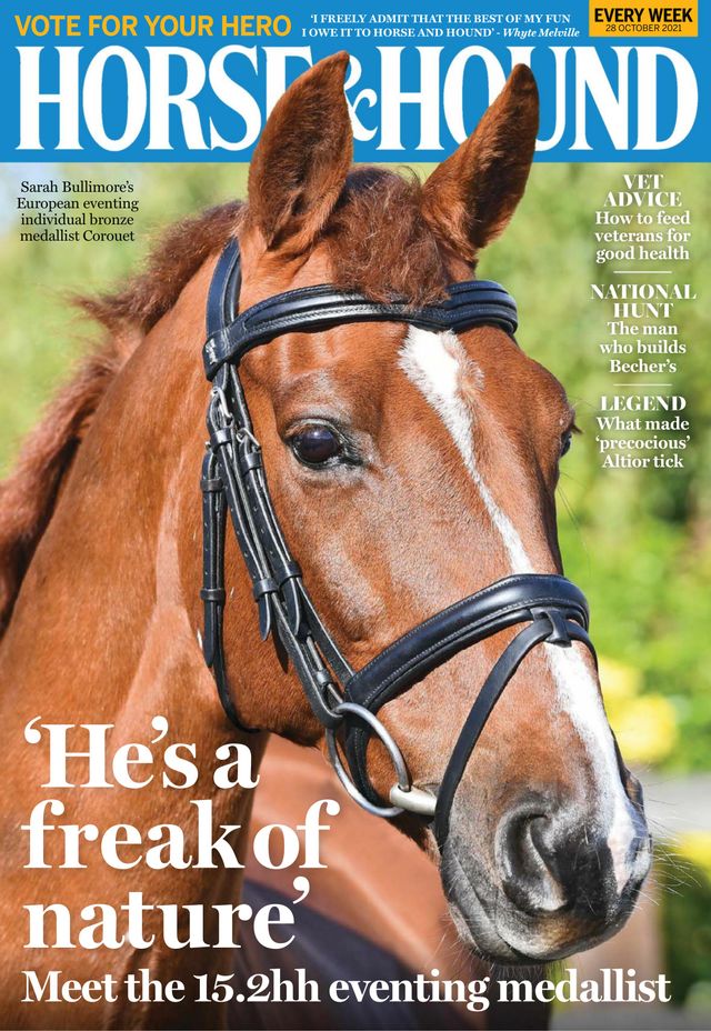 Horse & Hound