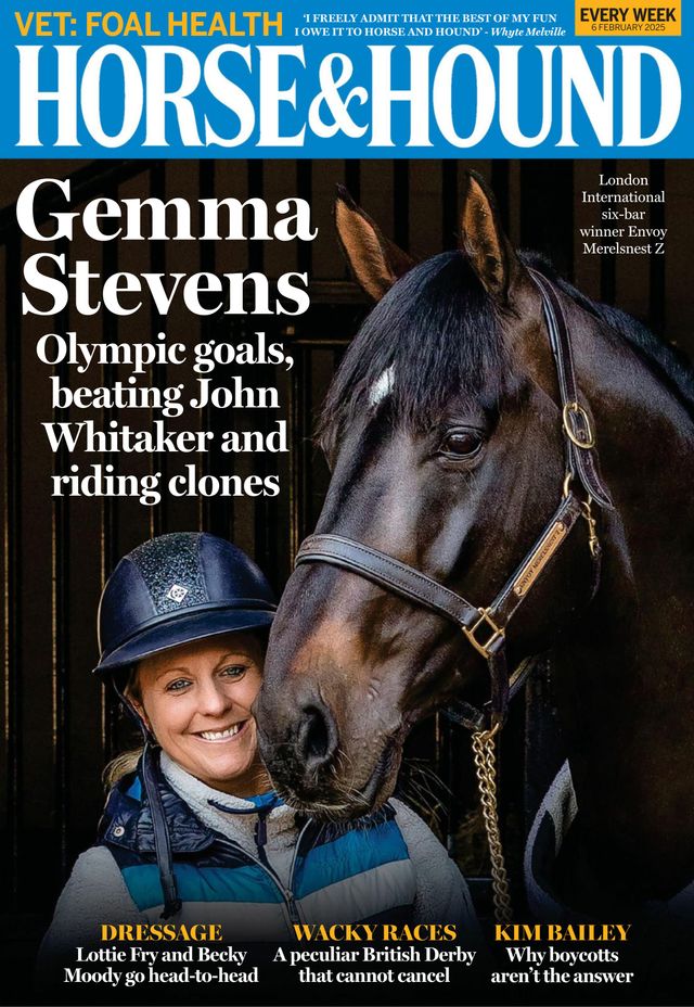 Horse & Hound