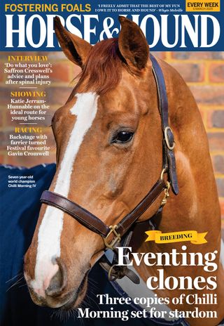 Horse & Hound