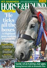 Horse & Hound