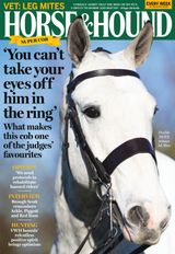 Horse & Hound