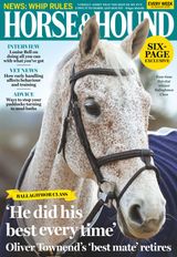 Horse & Hound