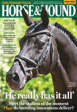 Horse & Hound