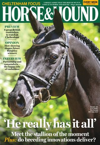 Horse & Hound