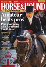 Horse & Hound Horse & Hound