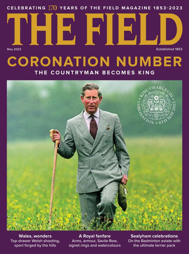 The Field